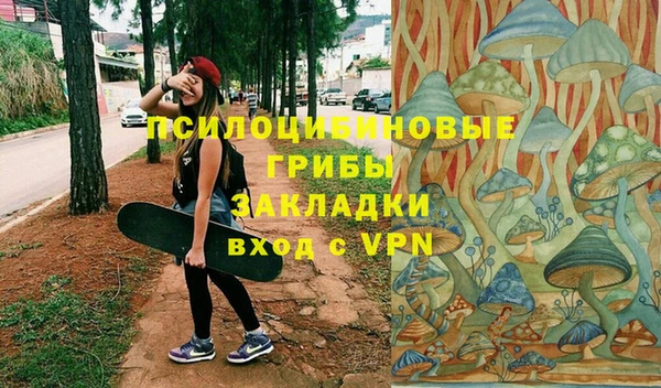 PSILOCYBIN Волоколамск